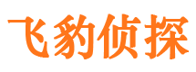 清远市调查公司